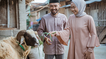 10 Perbedaan Qurban dan Aqiqah yang Wajib untuk Dipahami